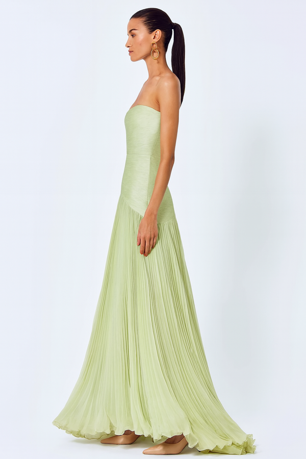 Elegant Sleeveless Maxi Dress with Drop-Waist Design Elegant Sleeveless Maxi Dress with Drop-Waist Design